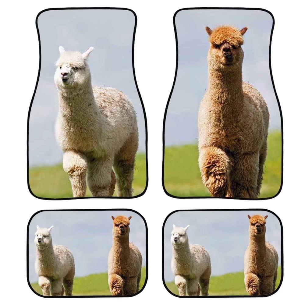 アルパカ　マット Amazon.co.jp: アルパカ柄 4 ピース 車用フロアマット フロントとリア